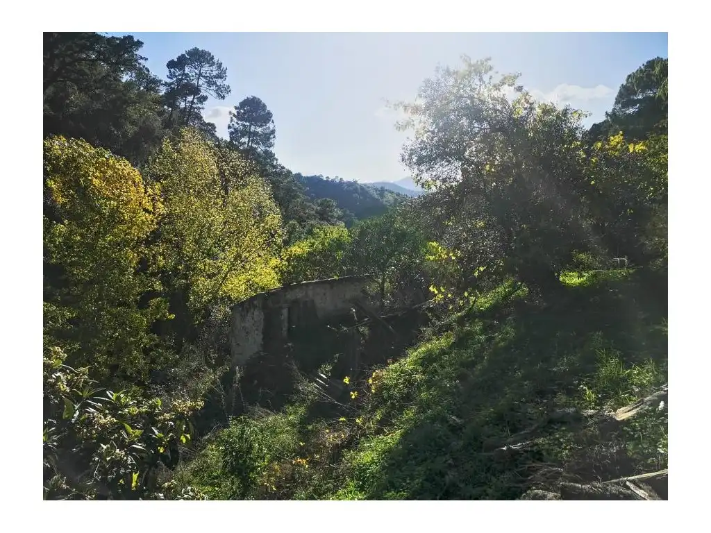 Vista exterior de Casa o xalet en venda en Genalguacil