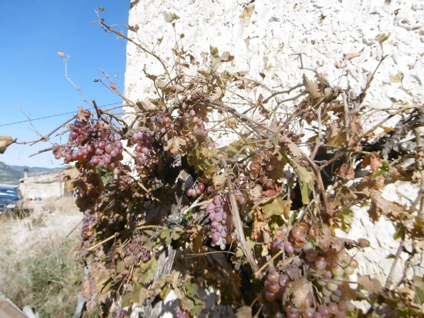Finca rústica en venta en Sierra Engarcerán con Jardín privado y Trastero