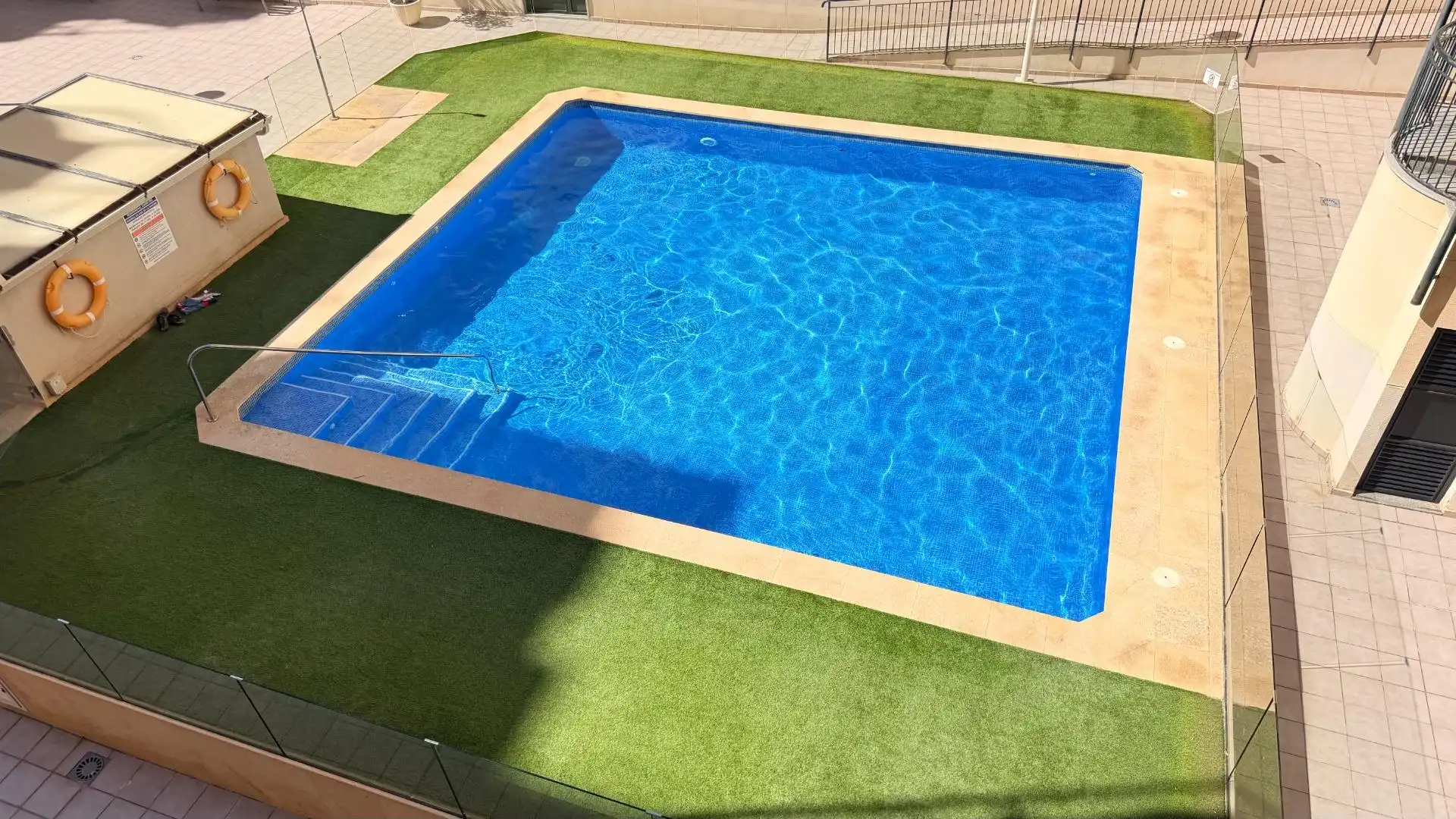 Swimming pool of Apartments for sale in Elche ciudad