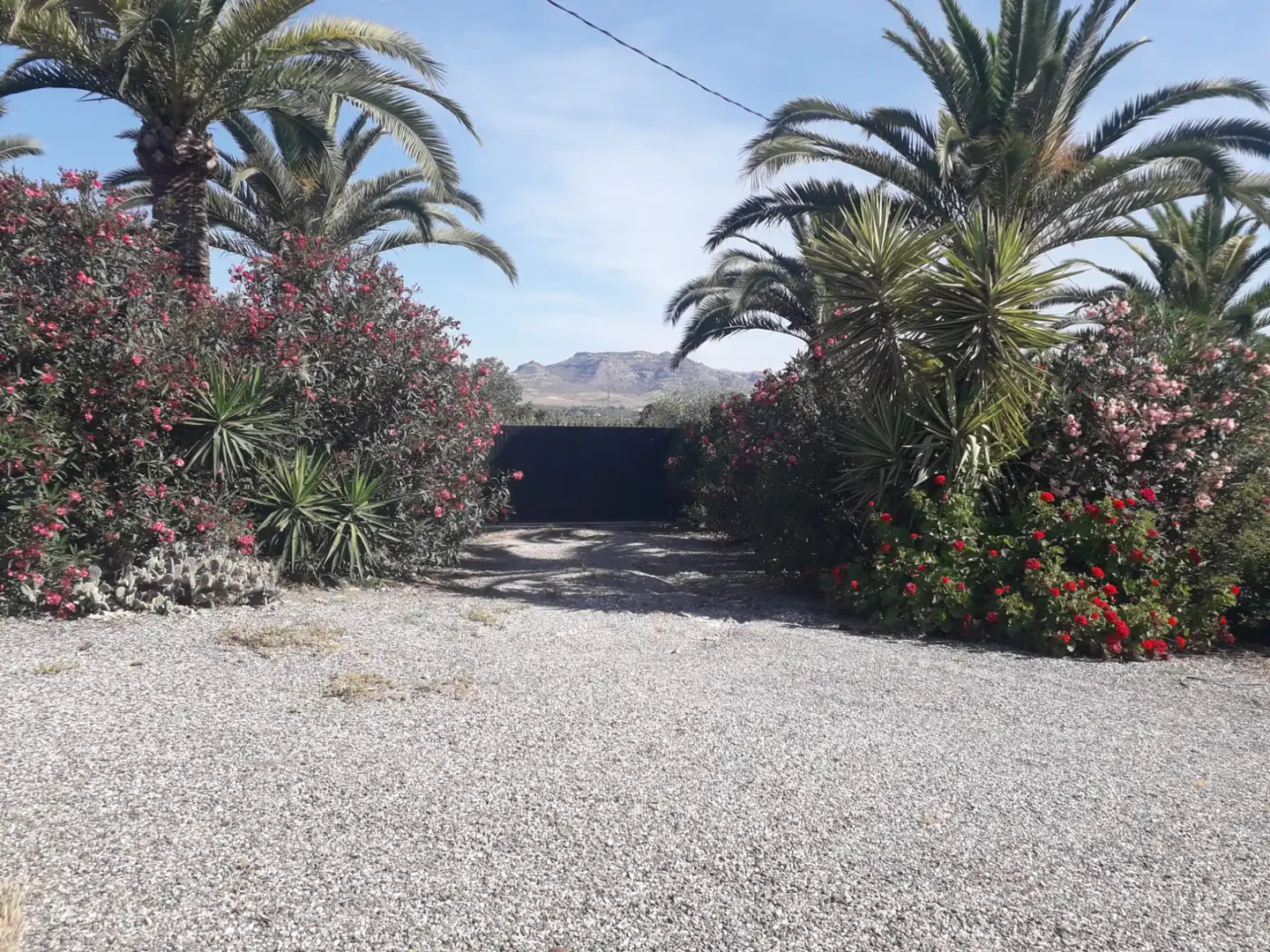 Vista exterior de Finca rústica en venda en Cártama amb Aire condicionat, Jardí privat i Traster