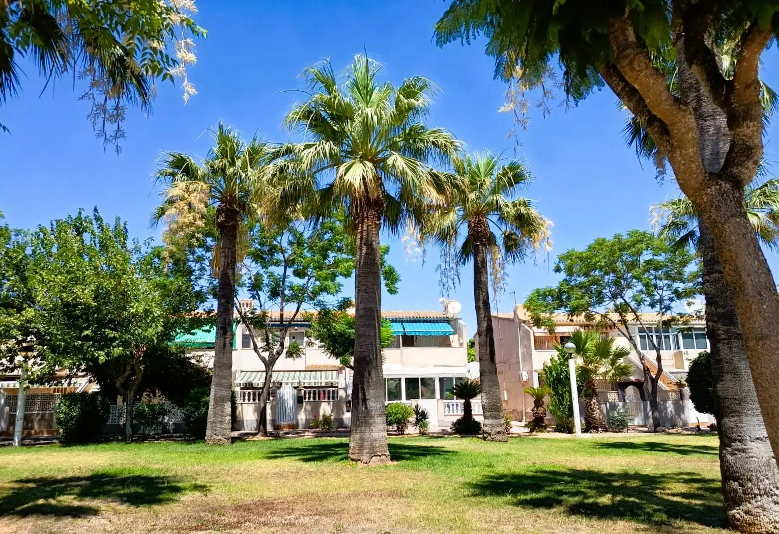 Vista exterior de Casa o chalet en venta en Orihuela con Aire acondicionado, Calefacción y Jardín privado