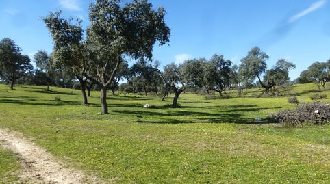 Foto 3 de Terreno en venta en Maqueda, Toledo