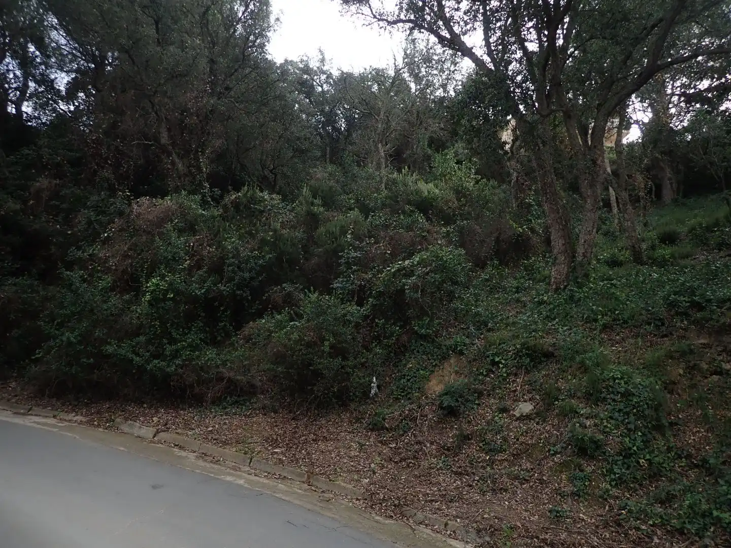Residential land for sale in Avinguda de les Illes 28