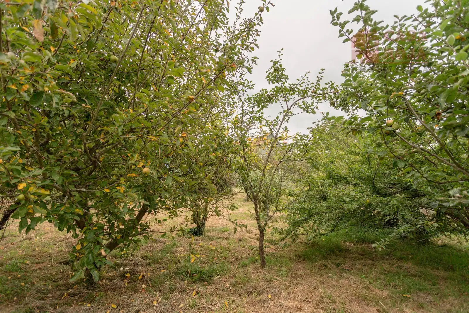 Xalet en venda a Darbo, imagen 5