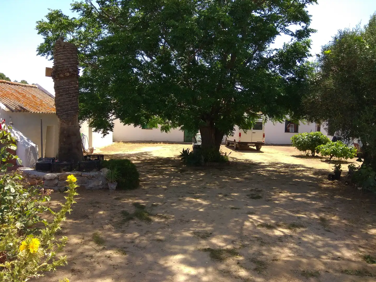 Terrain rustique à vendre à Vejer, imagen 3