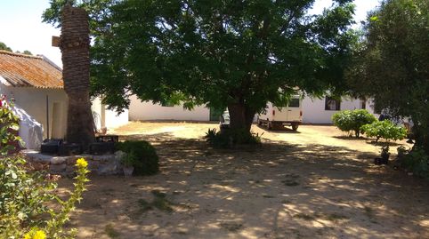VENDO  BONITA FINCA DE 10.000 M CON CORTIJO Y VIVIENDAS , GARAJES ETC., immagine 3
