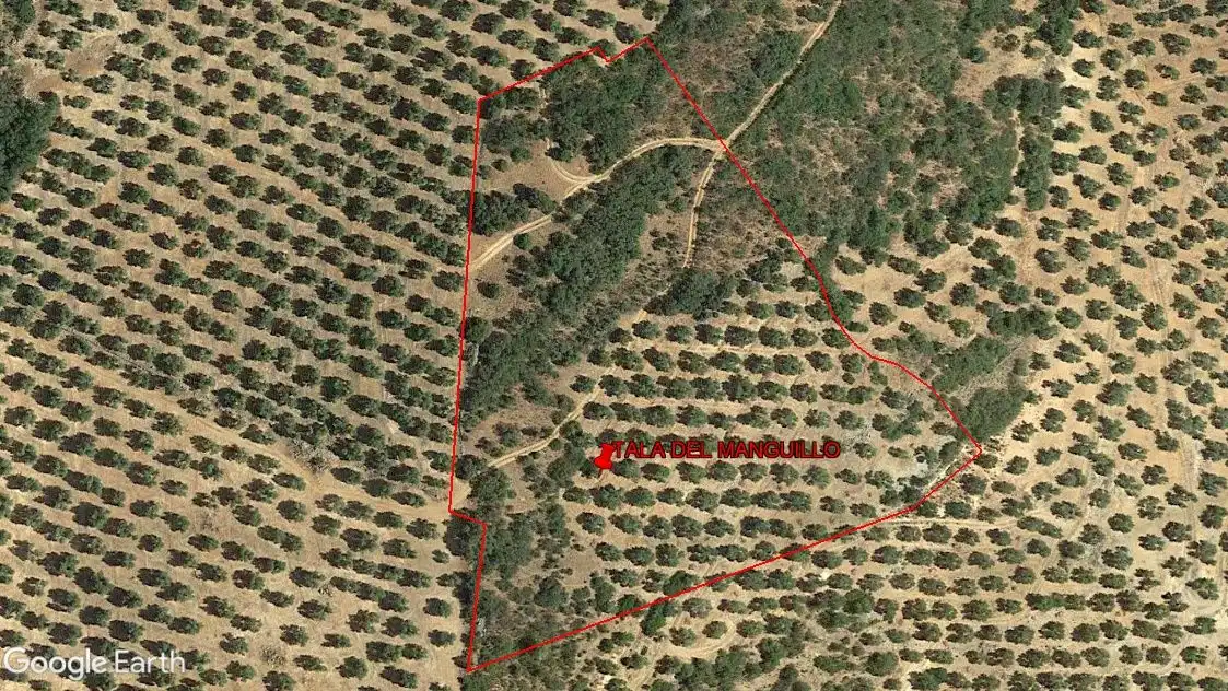 Terreni e lotti in vendita a Arroyo del Ojanco