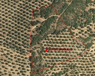 Land for sale in Arroyo del Ojanco