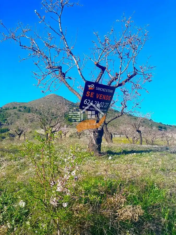 Casa rústica en venda a Vélez-Rubio, imagen 6