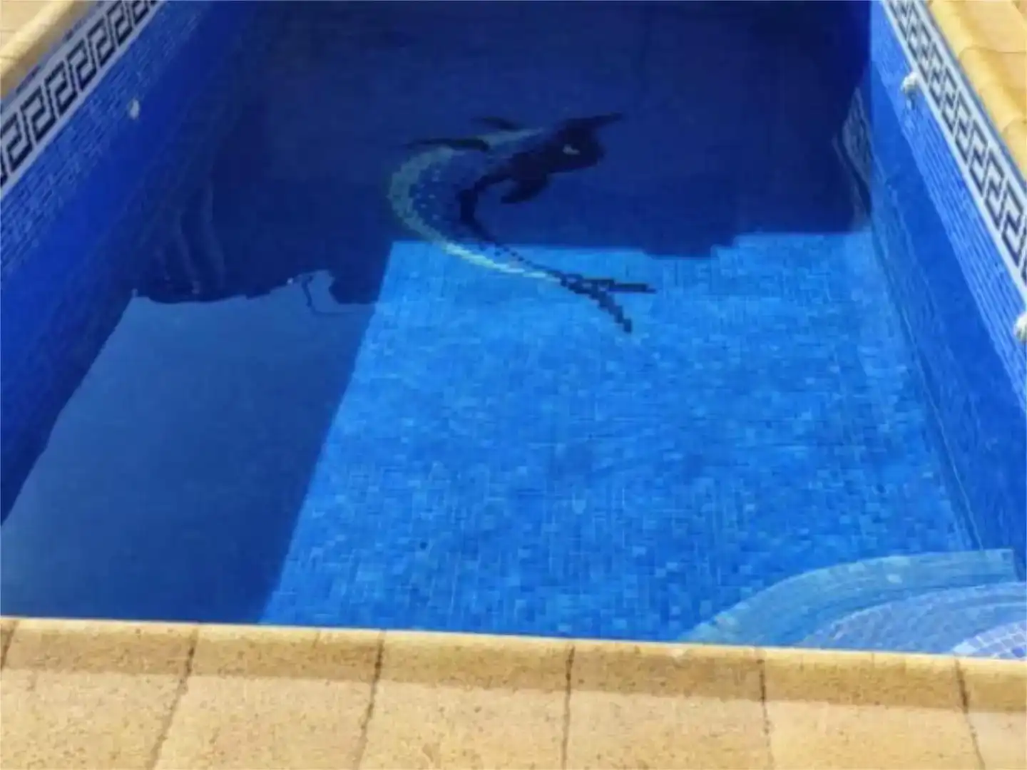 Schwimmbecken von Wohnung zum Verkauf in Lorca mit Schwimmbad und Balkon