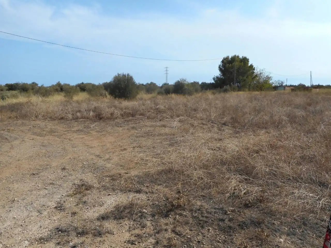 Rural land for sale in Carretera dels emprius, imagen 7