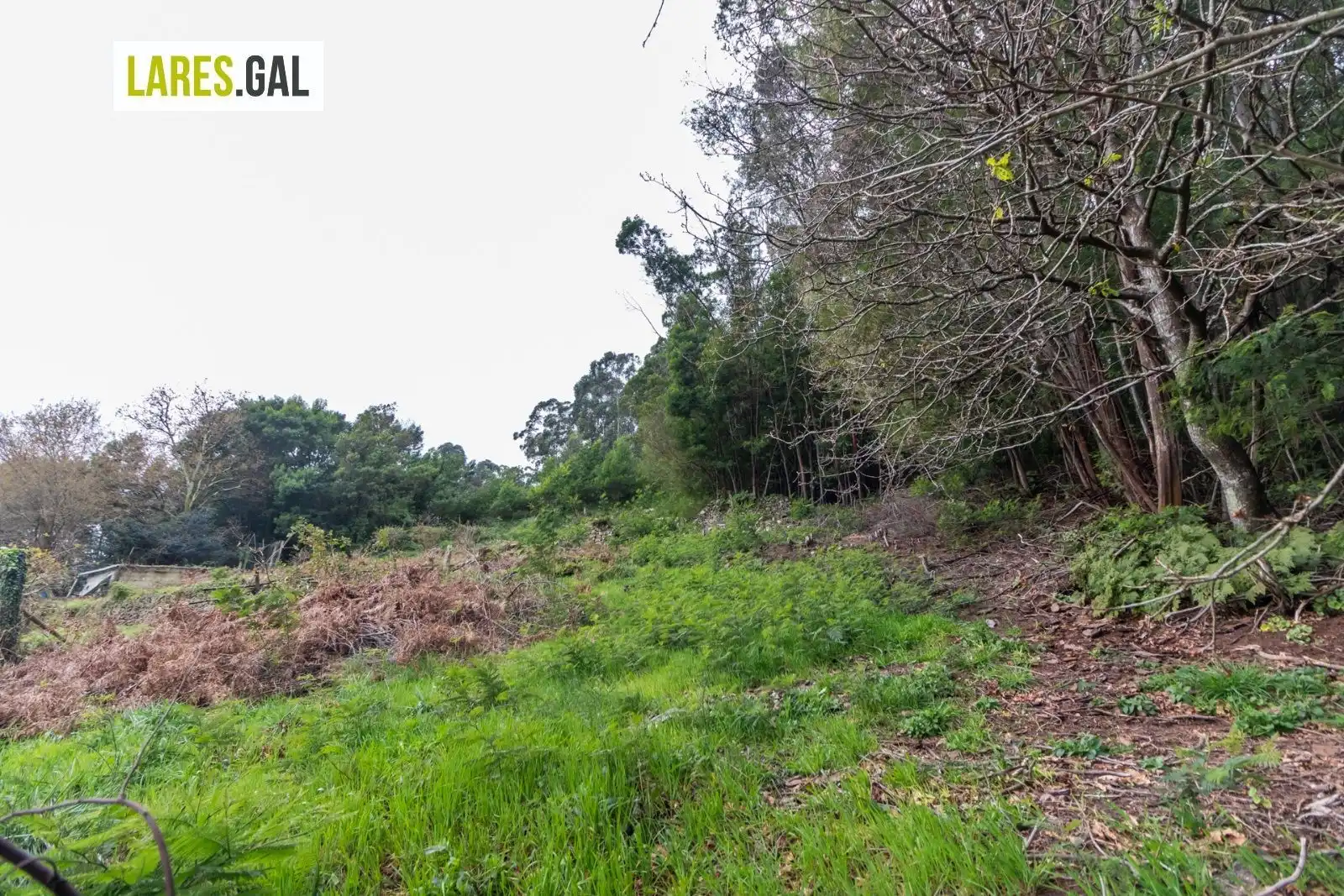Residential land for sale in Rúa Ourelo, imagen 17