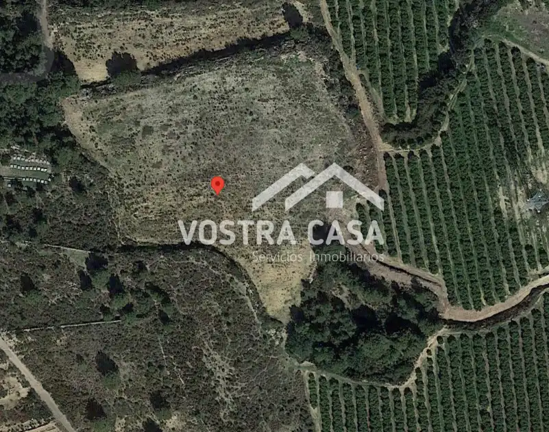 Terreno rustico in vendita a Cuatrocientos ochenta y cinco, imagen 3