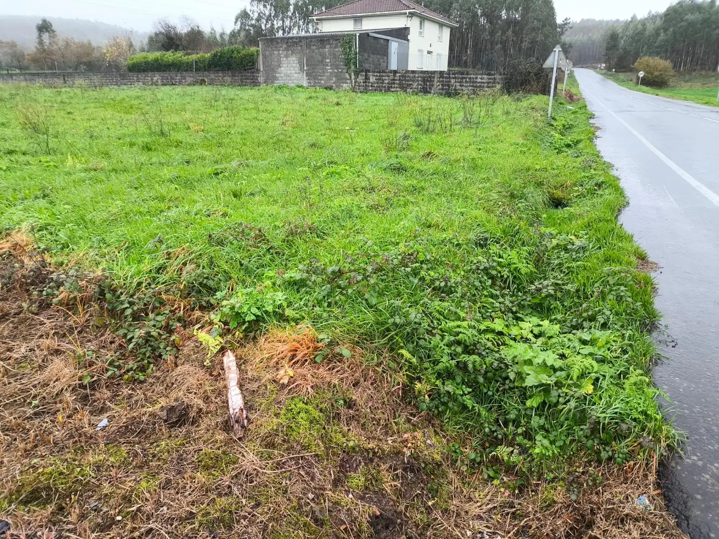 Terreni e lotti in vendita a Lugar Rabadeira, Seavia, imagen 8