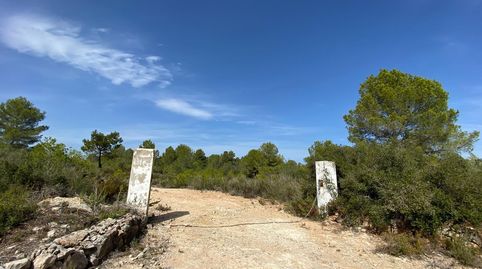 Foto 4 de Finca rústica en venta en Chella, Valencia