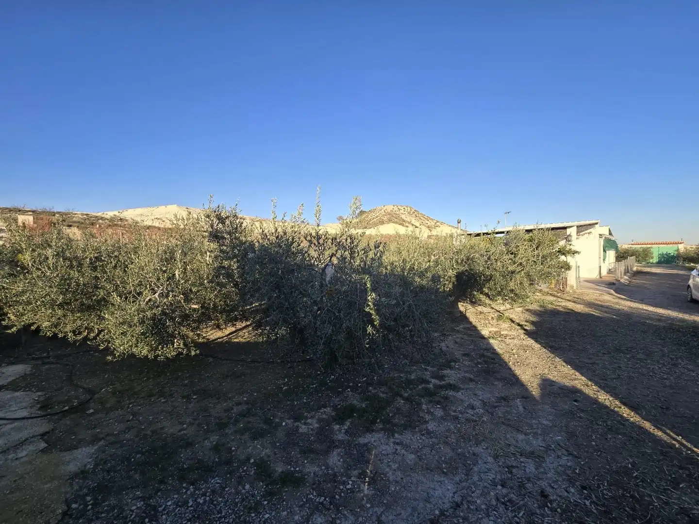 Casa o xalet en venda en Alguazas amb Jardí privat i Piscina comunitària