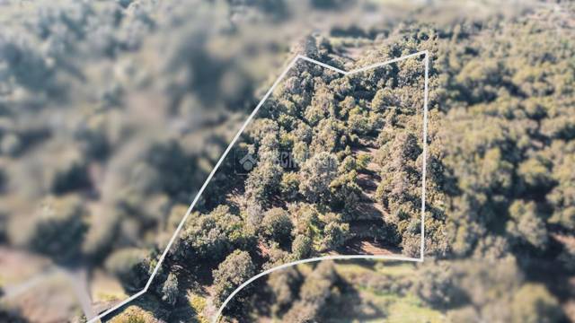 Terreno en Venta en Garachico