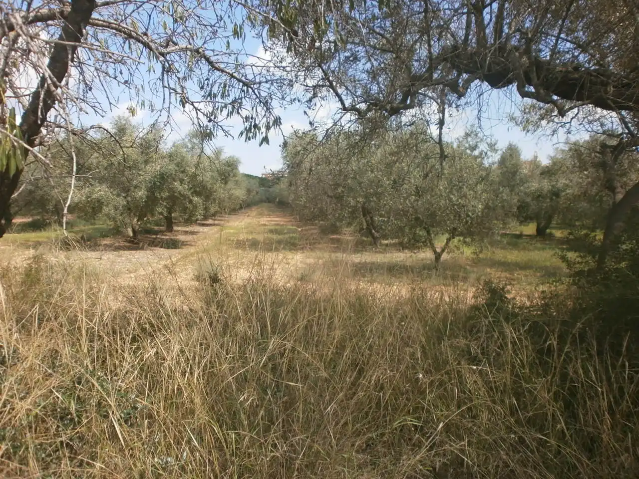 Rural land for sale in Constantí, imagen 17