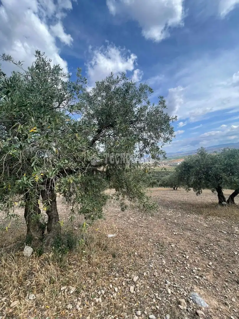Terreni e lotti in vendita a Atarfe, imagen 17