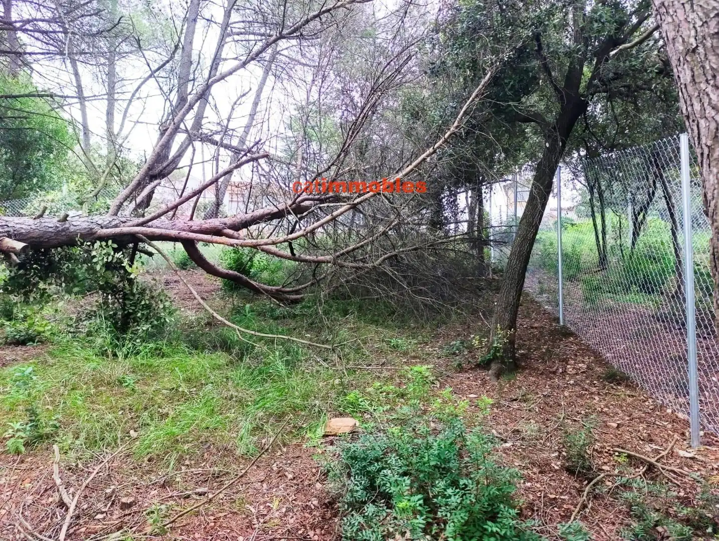 Terreny residencial en venda a Rosa Mariné, imagen 21