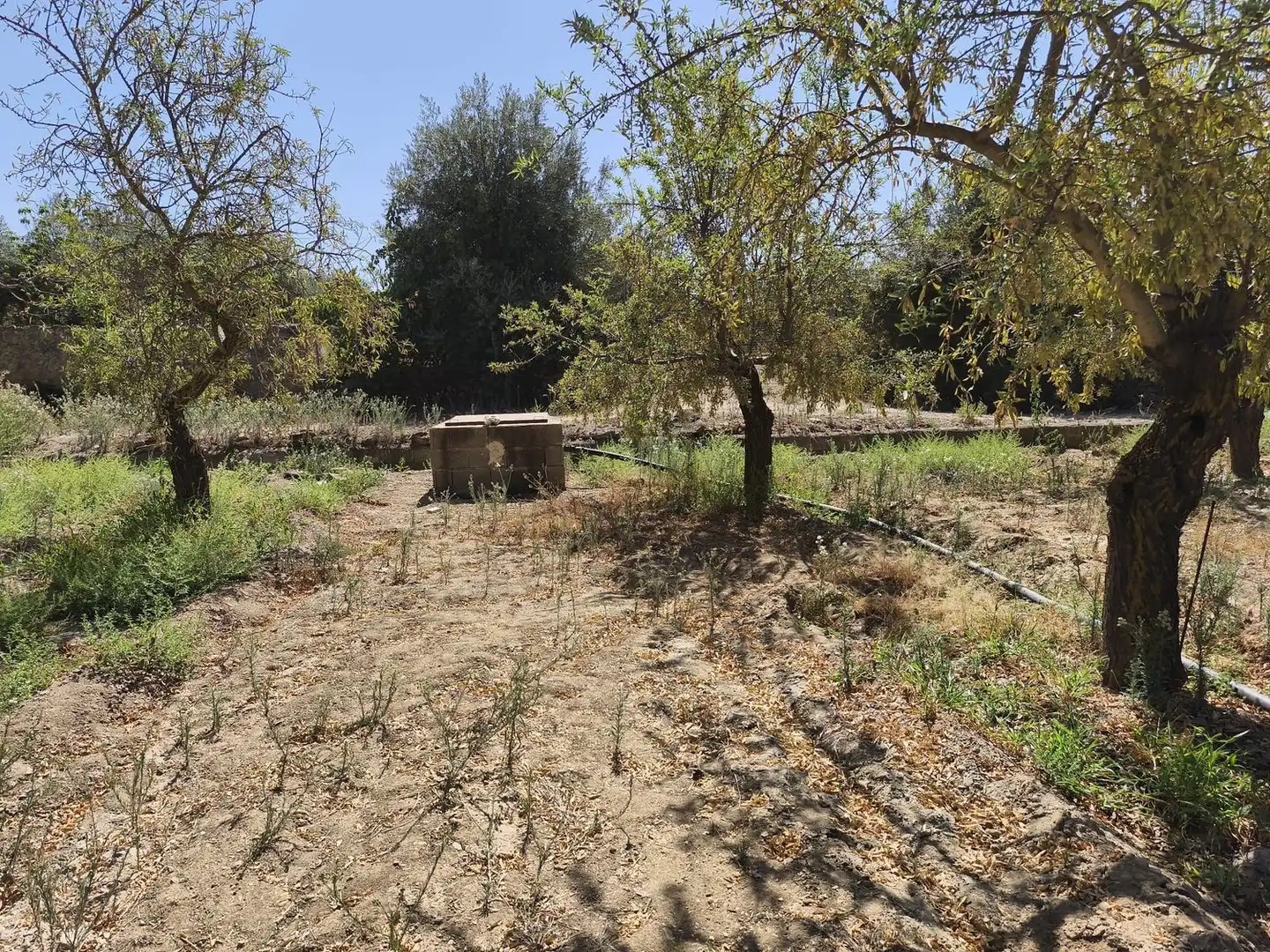 Rural land for sale in 2C55+9GC Cozvijar 0, imagen 10