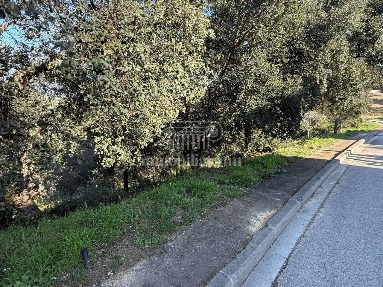 Terreno rústico en venta en Alella, imagen 8
