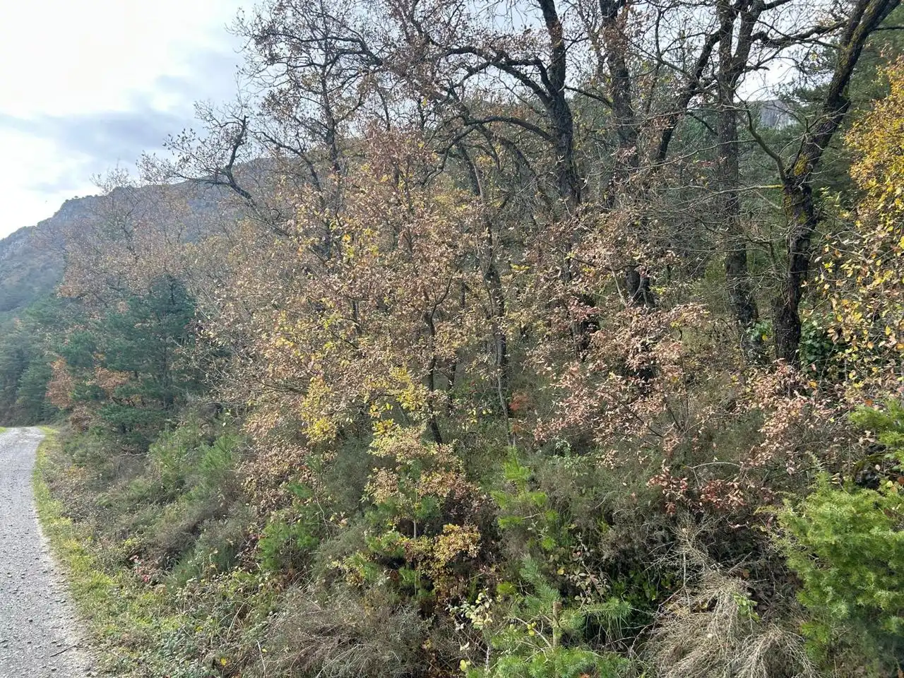 Land for sale in Kuartango