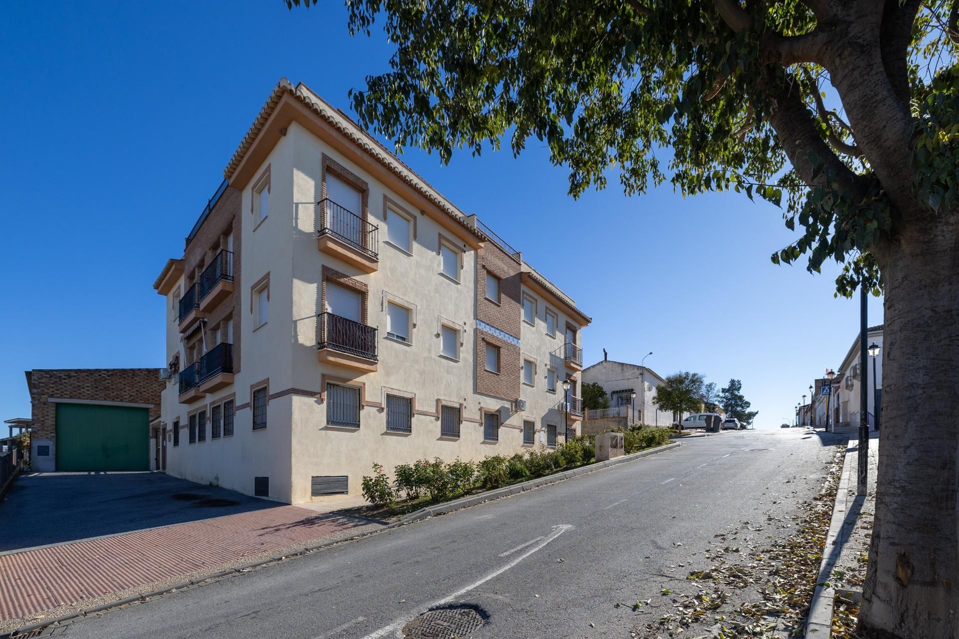 Vista exterior de Pis en venda en Láchar amb Balcó