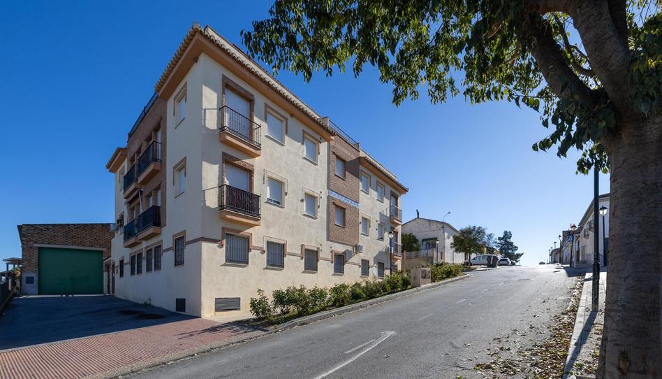 Foto 1 de Pis en venda a Calle Gran Via Colon, 23, Láchar, Granada