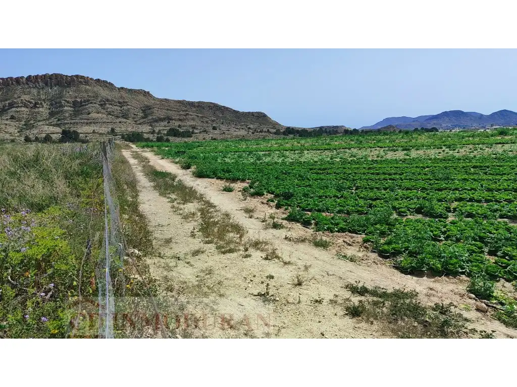 Terreno rustico in vendita a Carrer Ibi, imagen 8