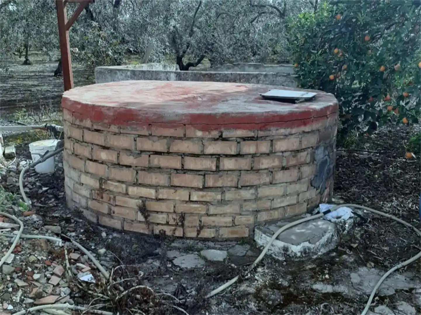 Vista exterior de Finca rústica en venta en Benacazón