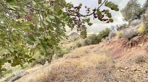 Foto 4 de Casa o xalet en venda a Poligono, Paraje de Castillejo, 32, El Cortijuelo, Málaga Capital