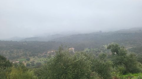 Immagine 1 dell'annuncio