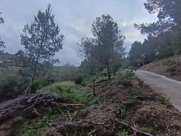 Residential land for sale in Castellvell del Camp