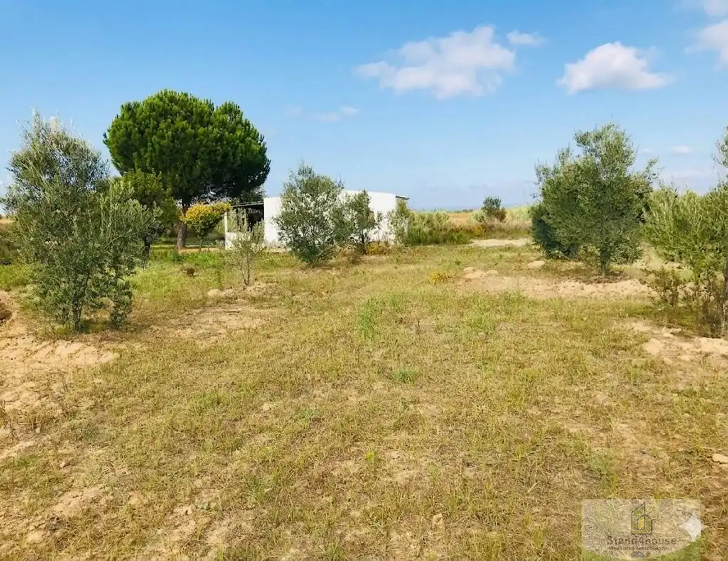 Finca rústica en venta en Bollullos Par del Condado con Alarma