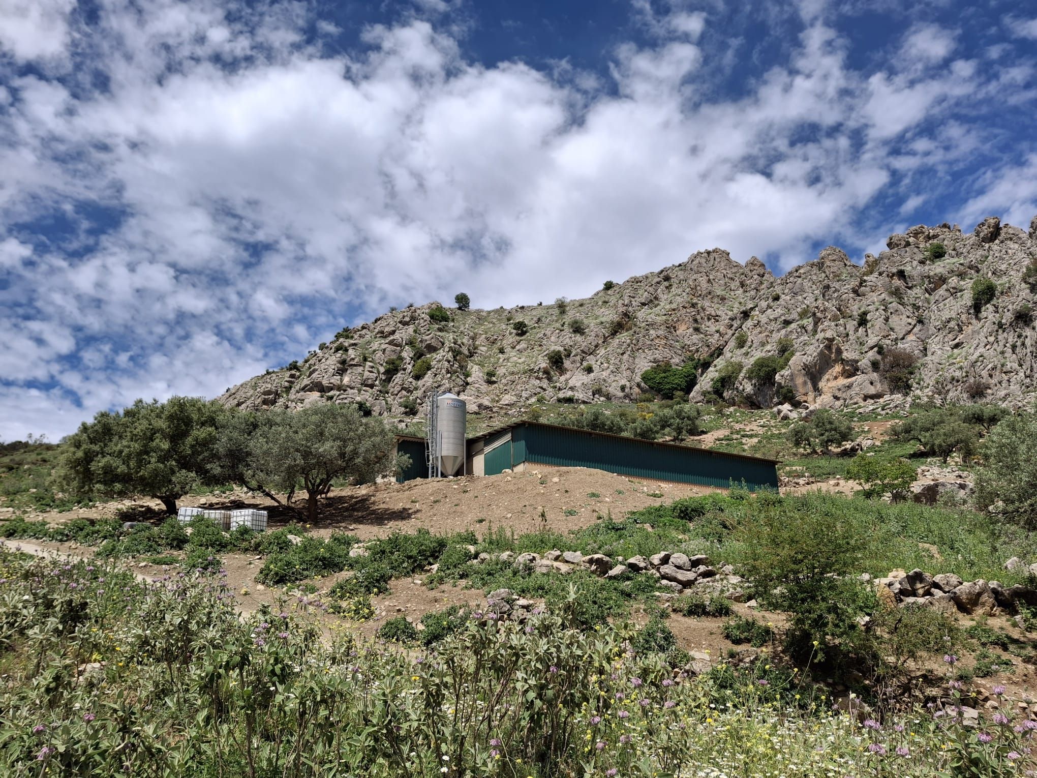 Exterior view of Land for sale in Alfarnatejo