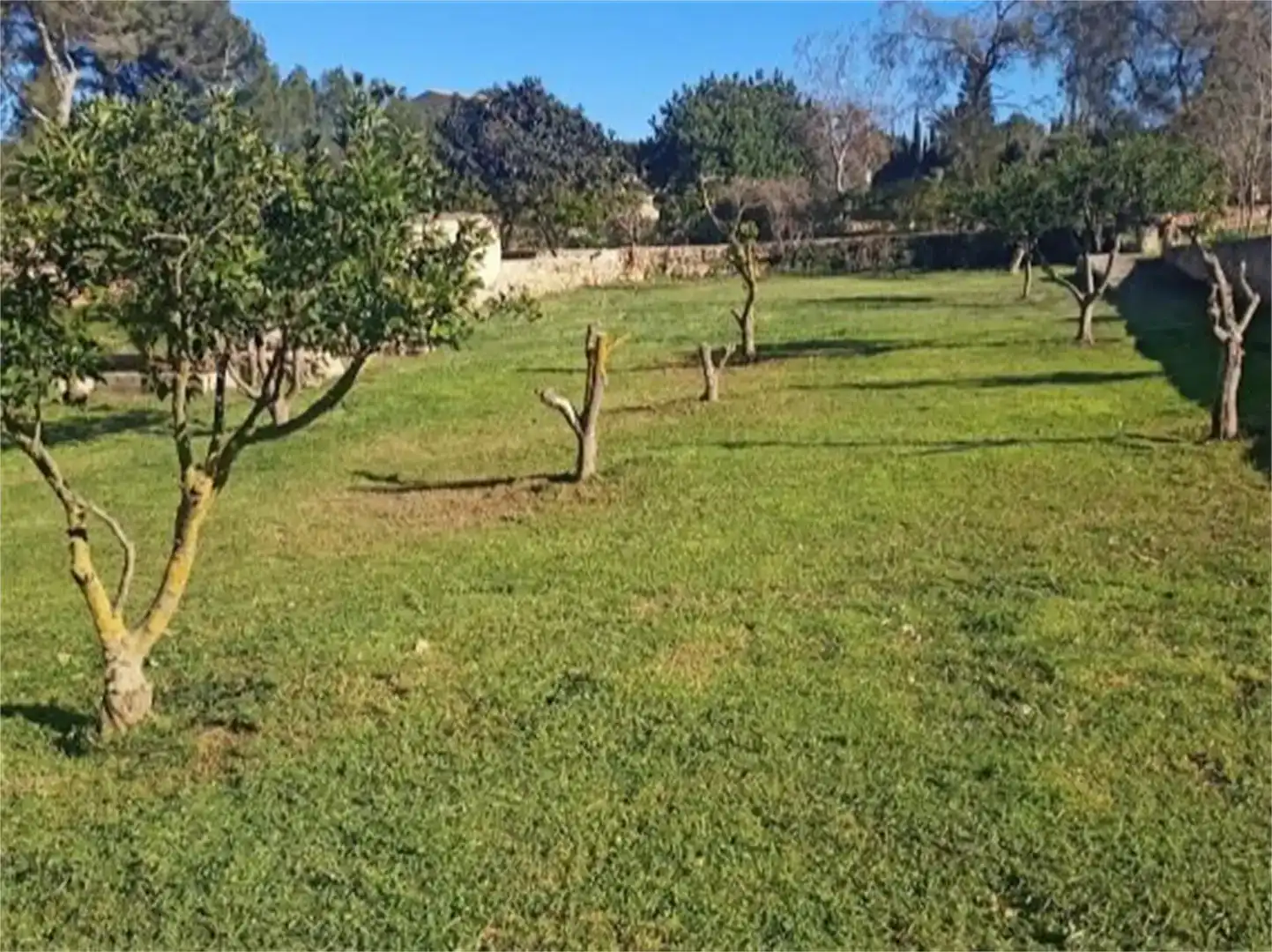 Casa o xalet en venda en  Palma de Mallorca amb Aire condicionat i Piscina