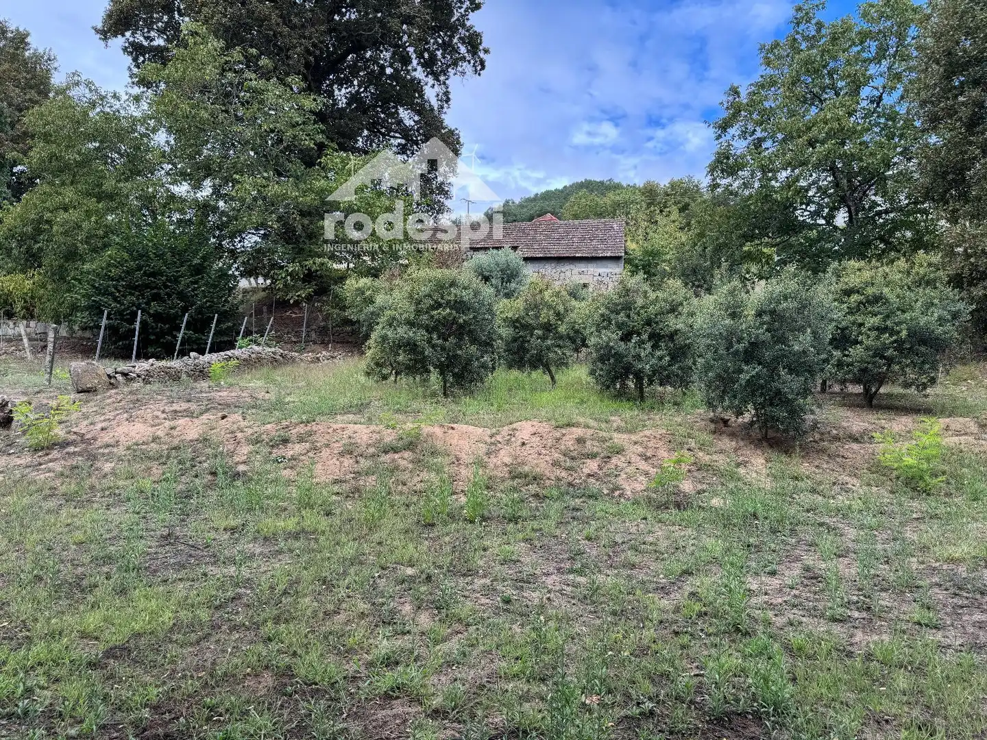Others for sale in Cortegada, imagen 22