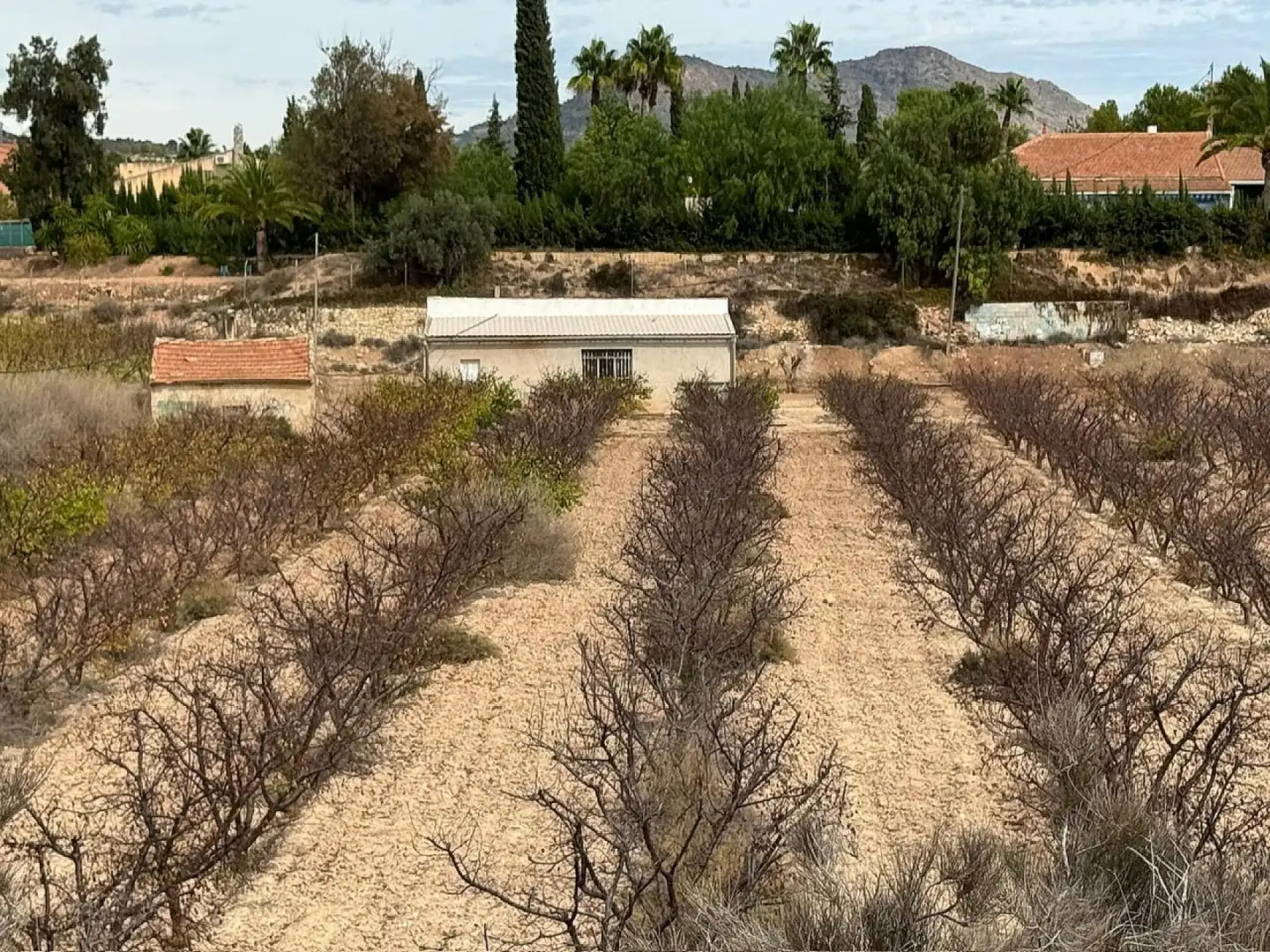 Residential land for sale in Monóvar  / Monòver, imagen 4