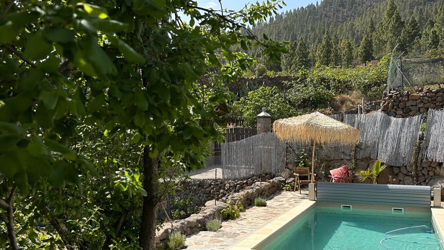 Piscina de Casa o xalet en venda en Granadilla de Abona amb Jardí privat, Piscina i Moblat