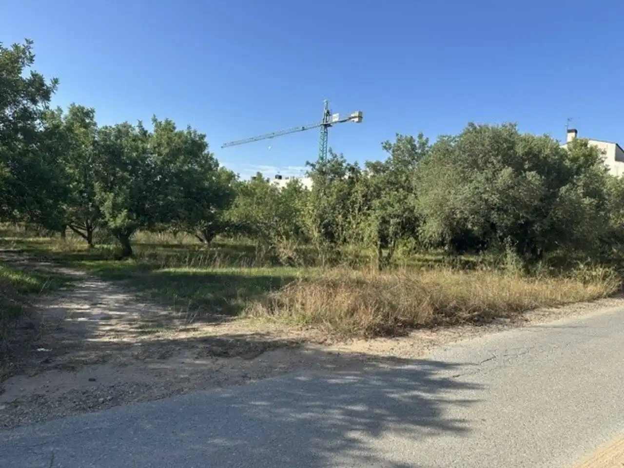 Rustikales Grundstück zum Verkauf in Barenys, imagen 11