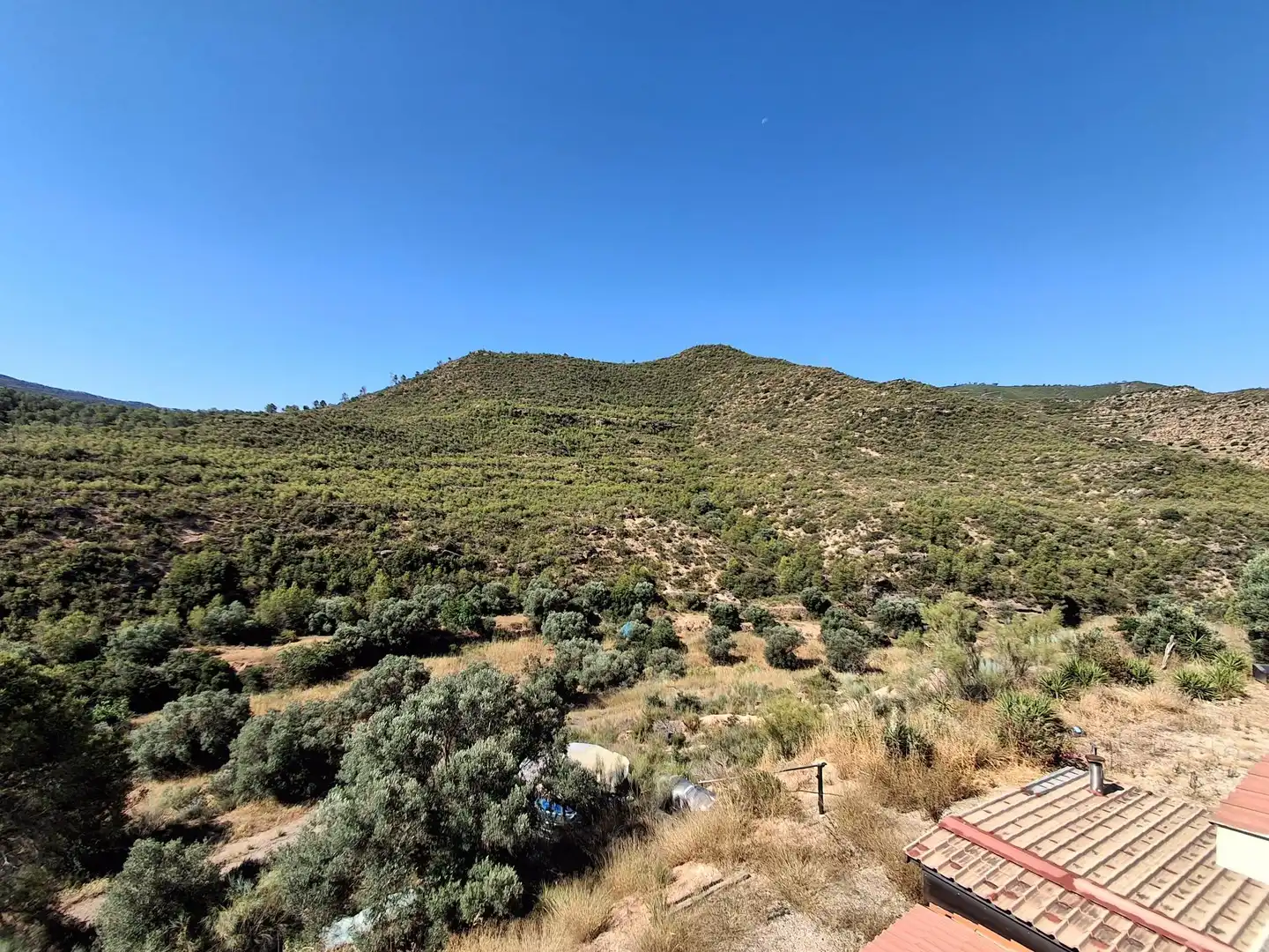 Finca rústica en venda en Riba-roja d'Ebre