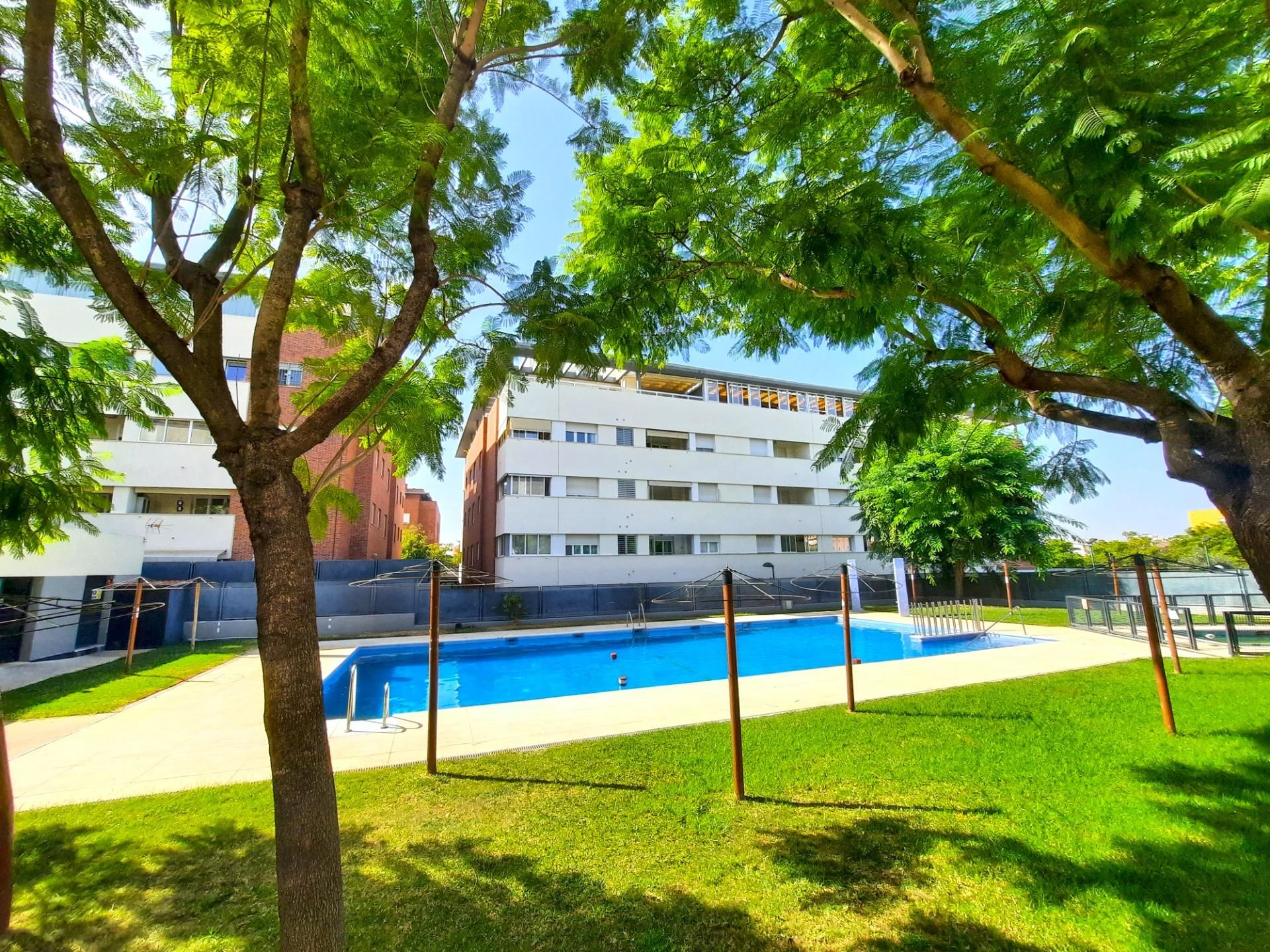Swimming pool of Flat for sale in Mairena del Aljarafe  with Private garden, Terrace and Community pool