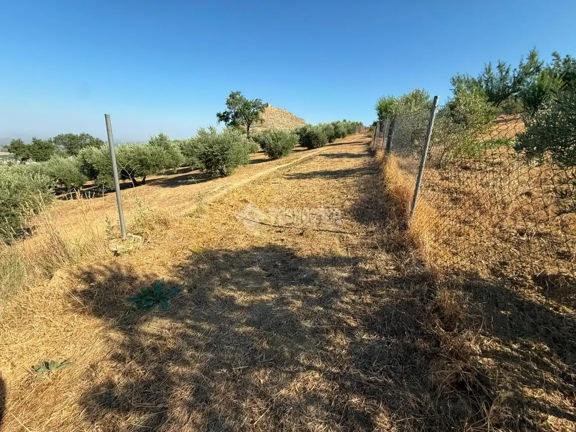 Terreni e lotti in vendita a Martos