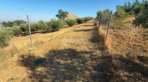 Terrenos en venta en Martos