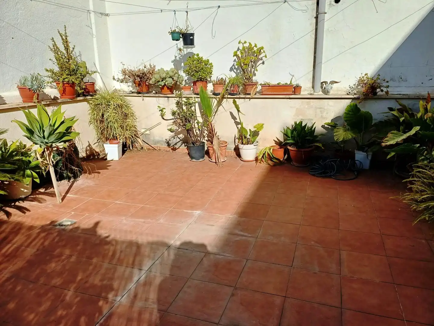 Terraza de Planta baja de alquiler en  Palma de Mallorca con Aire acondicionado, Calefacción y Terraza