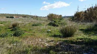 Photo 1 of Residential for sale in Villanueva de la Serena, Badajoz