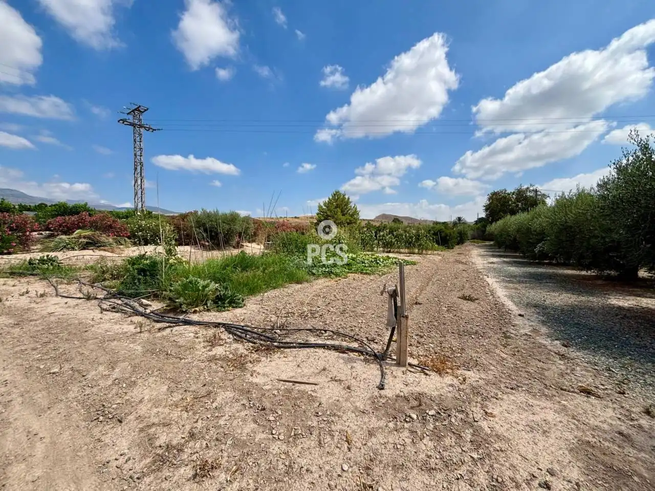 Detached house with pool for sale in Calle Totana Zona Huertos S/N, imagen 32