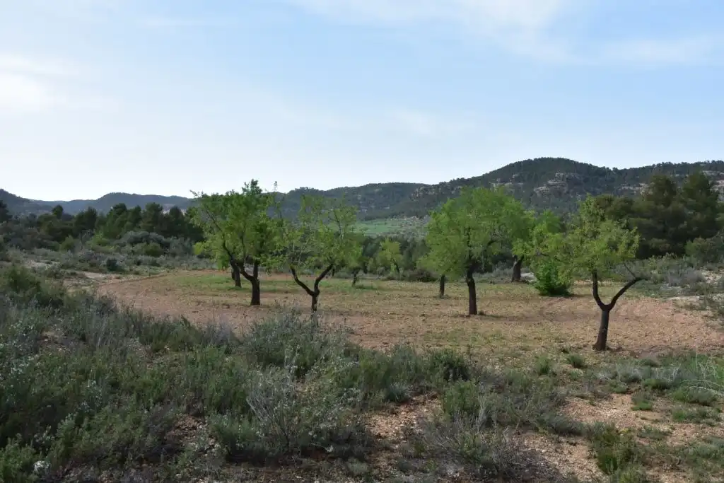 Country homes for sale in Ráfales