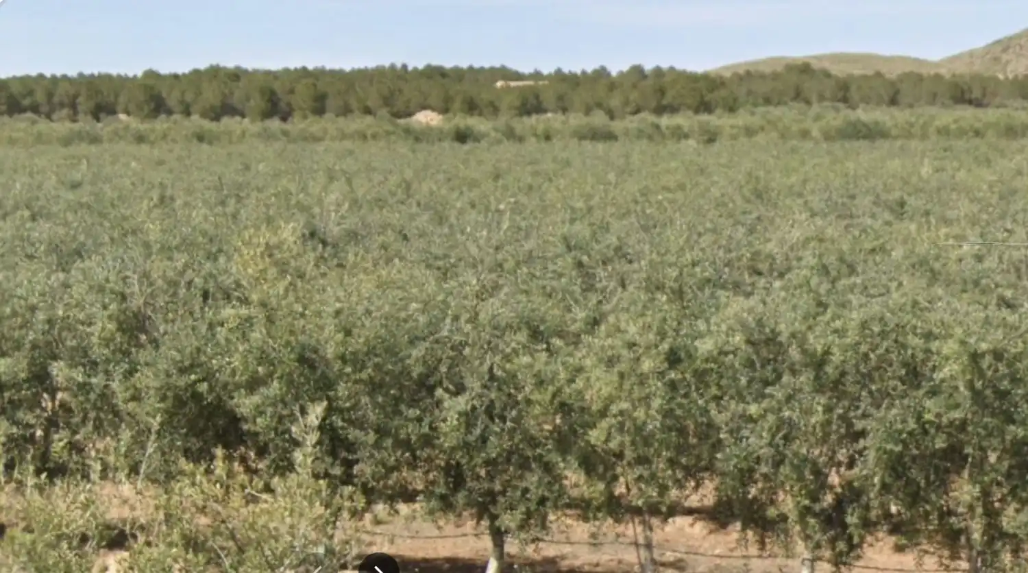 Terreni e lotti in vendita a Hellín